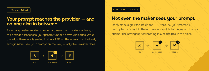 SayGm TEE setup for frontier and confidential models