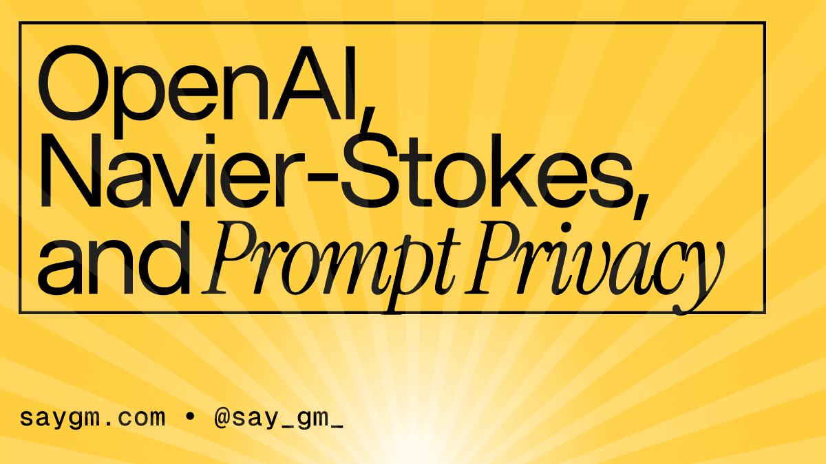 OpenAI, Navier-Stokes, and Prompt Privacy