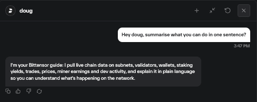The doug chat window on taostats where doug summarises himself in one sentence.